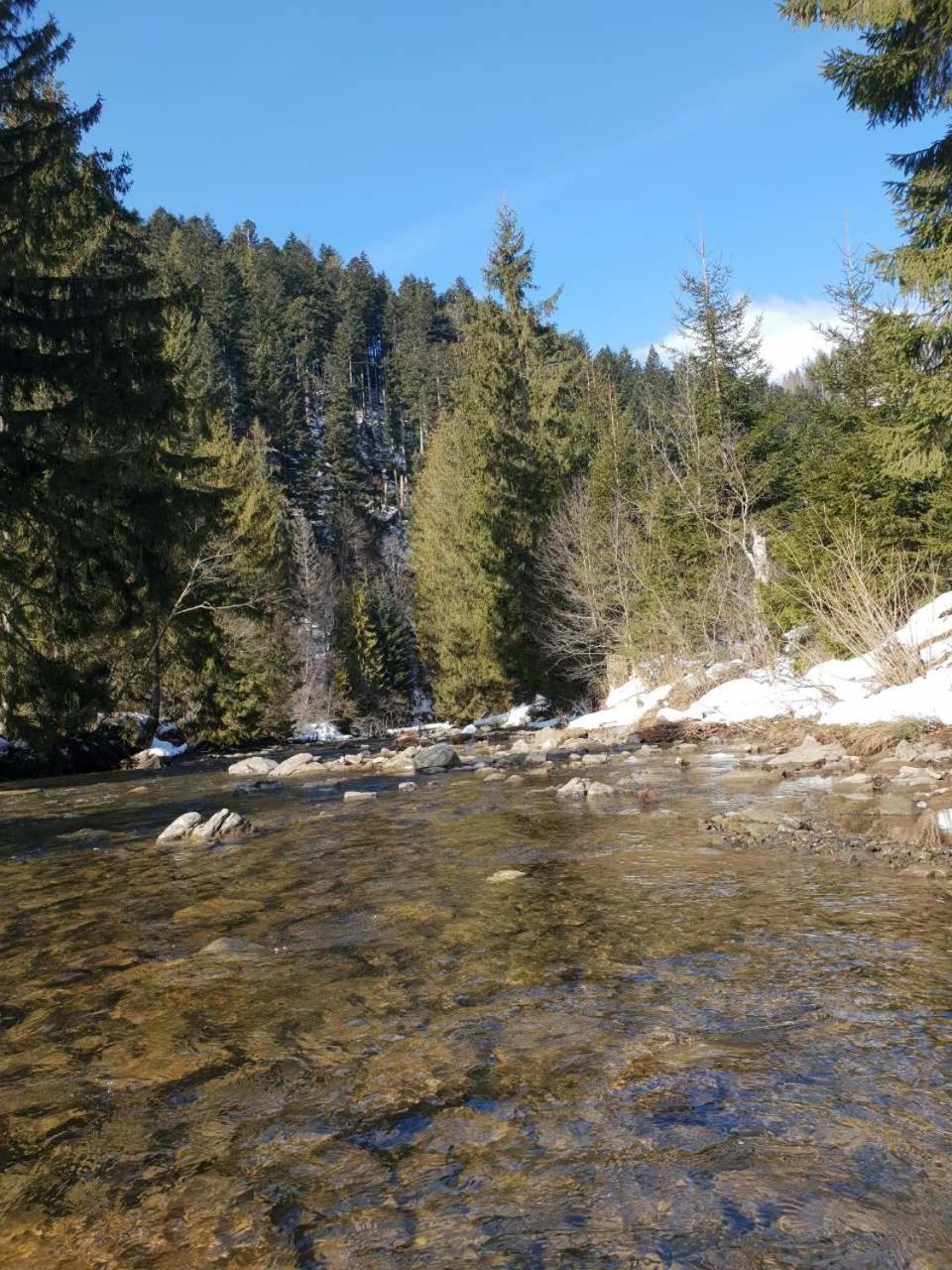 Лісовий Маєток Slavske Exterior foto