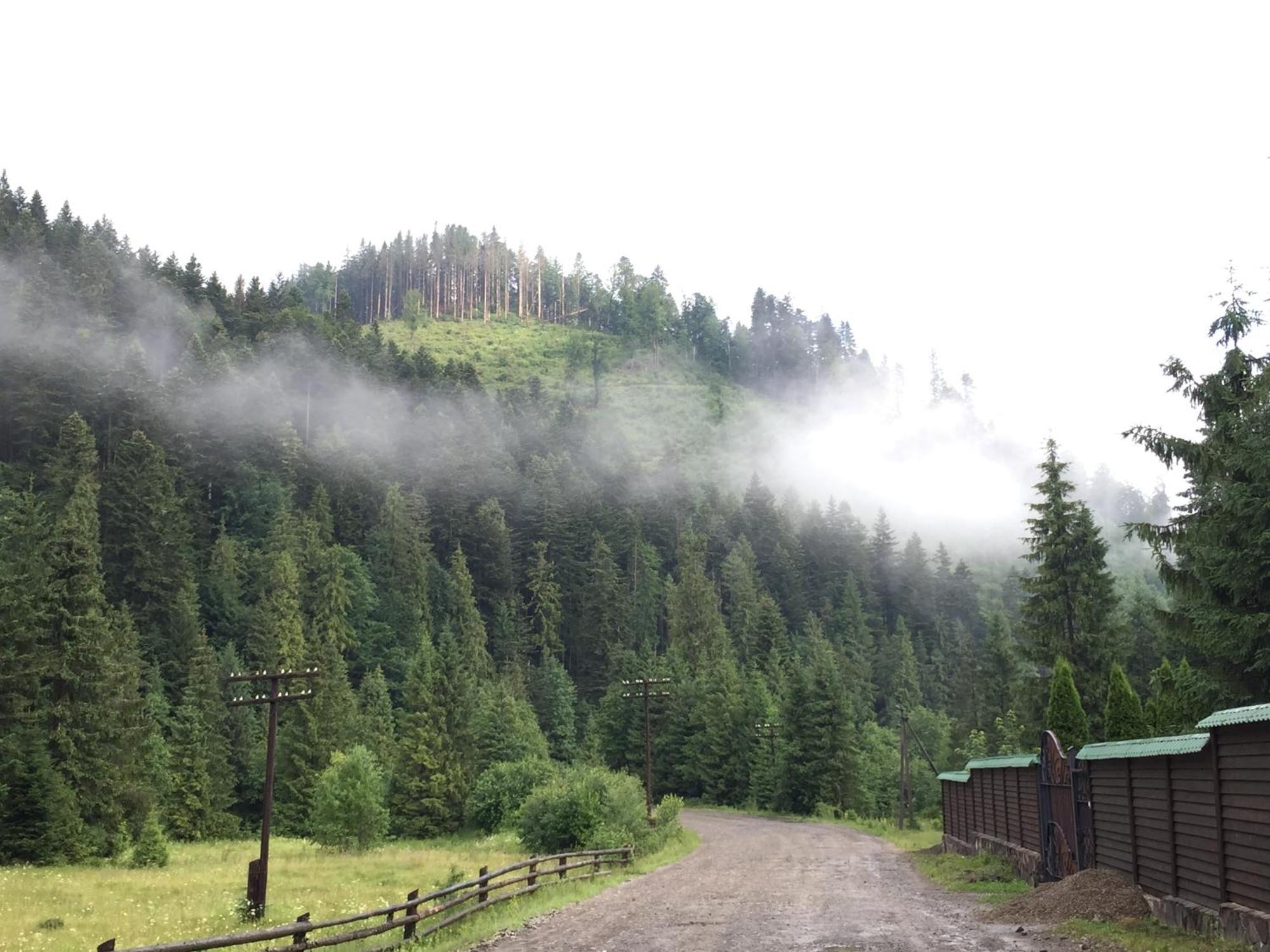 Лісовий Маєток Slavske Exterior foto
