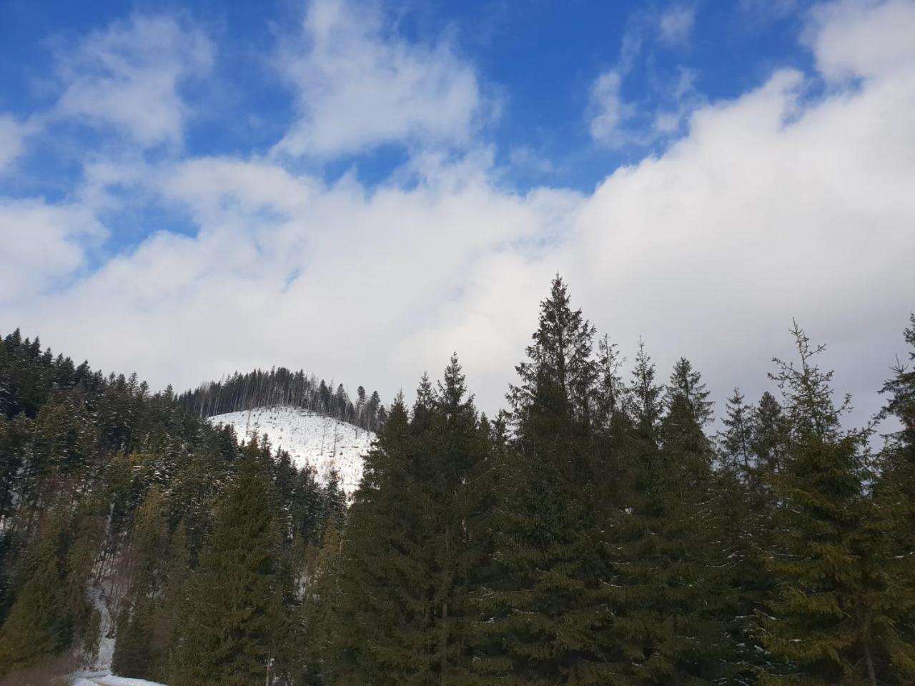 Лісовий Маєток Slavske Exterior foto