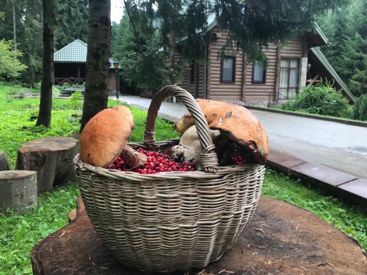 Лісовий Маєток Slavske Exterior foto