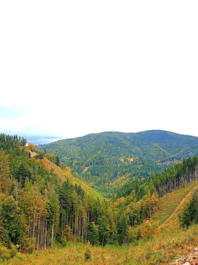 Лісовий Маєток Slavske Exterior foto